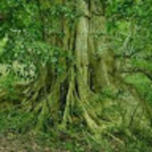 Meet your Posher, Marcel